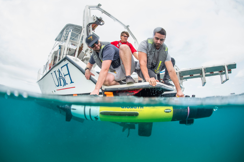 ocean engineering students